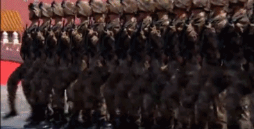 20211001282295.gif